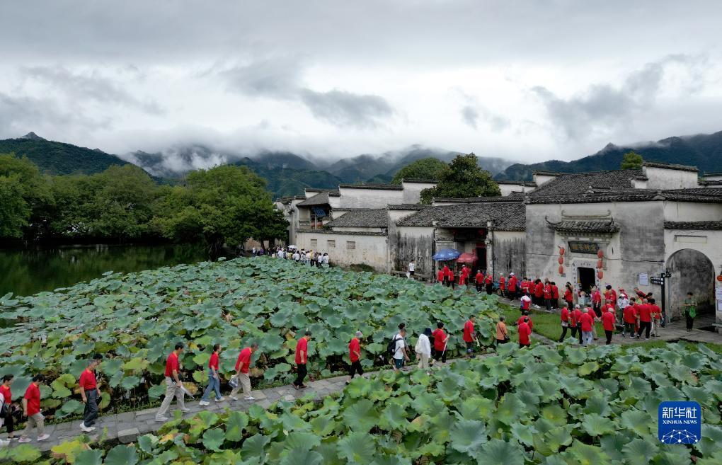 白菜免费彩金大全